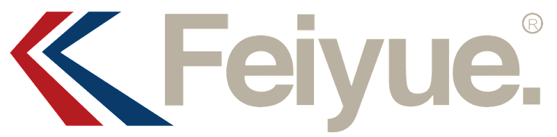 Feiyue